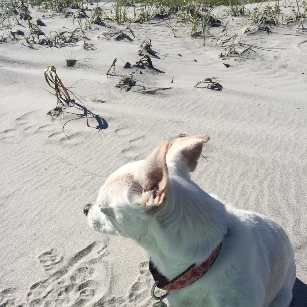 Meet your Posher, Toniann